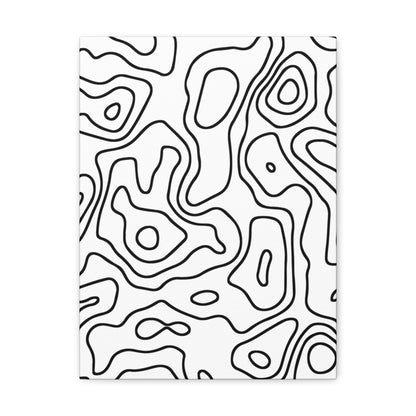 WHITE TOPO CANVAS