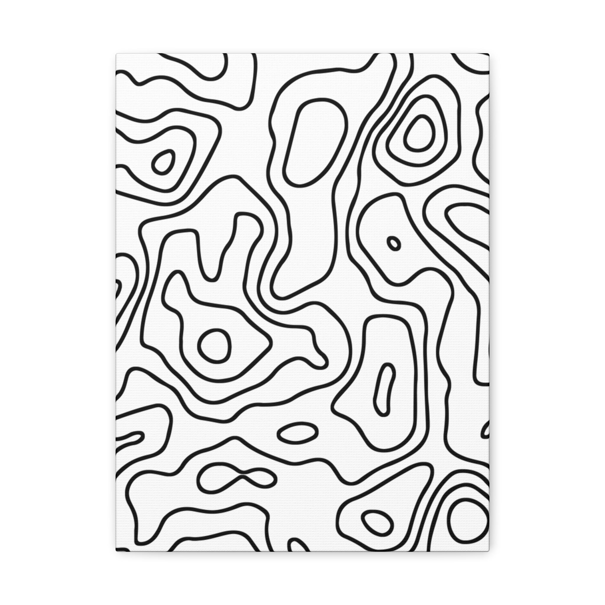 WHITE TOPO CANVAS