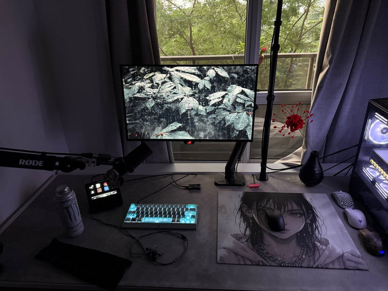 Gaming setup