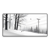 SNOWFALL